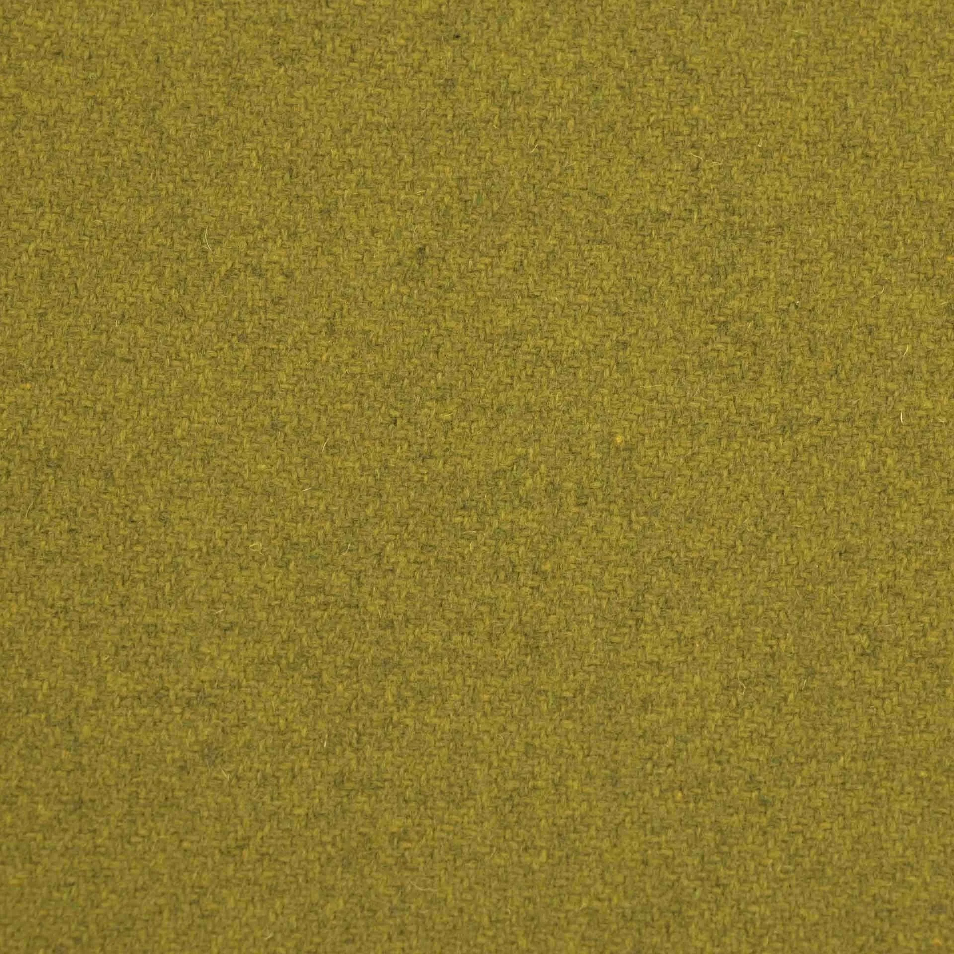 Green Coating Fabric - 3159