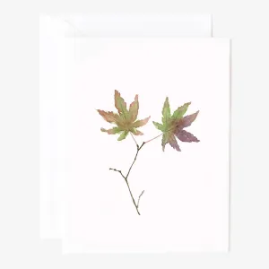 leaves notecards