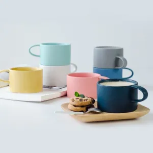 Nordic Colorful Elegant Matte Coffee Mugs