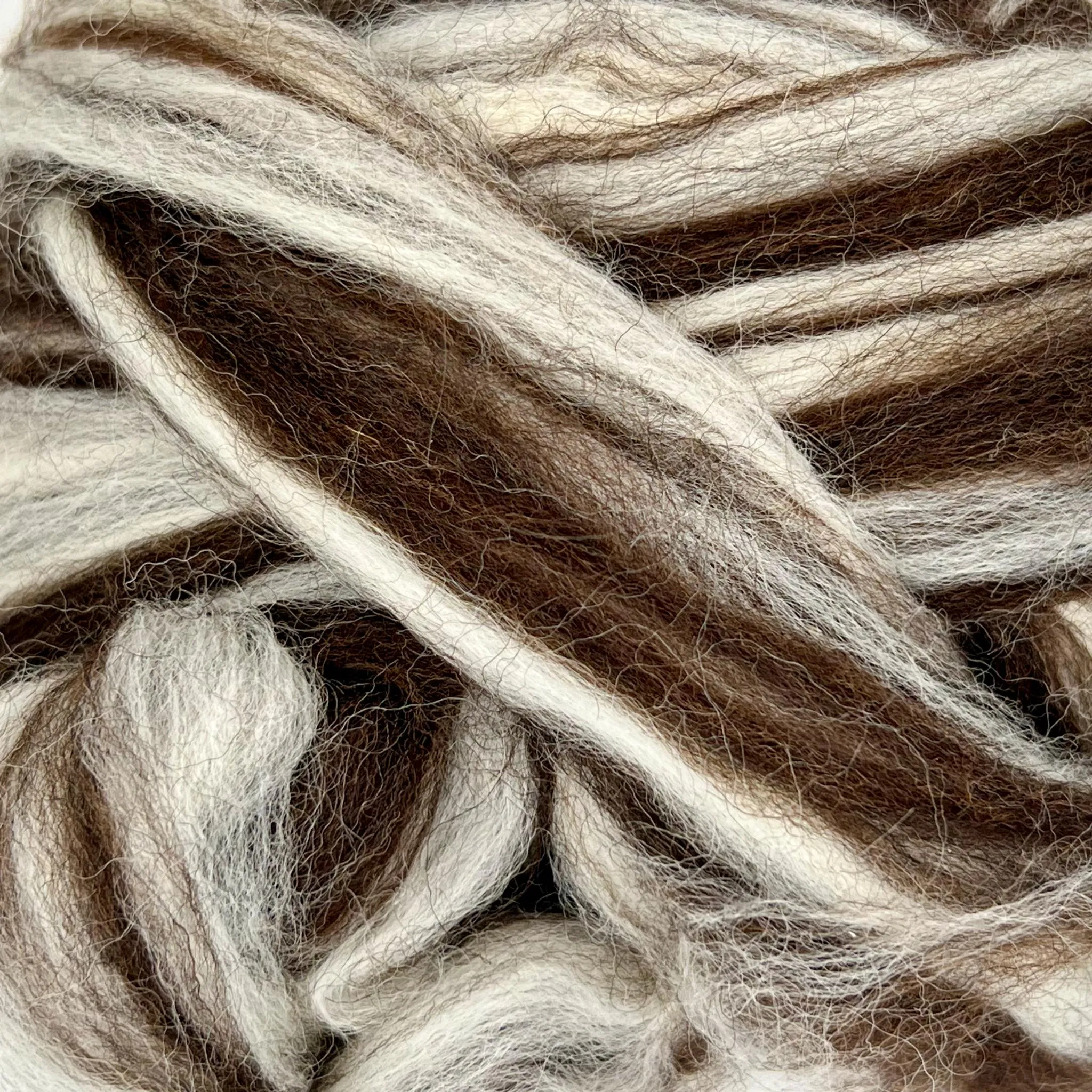 Yin Yang Natural Blend of Corriedale Wool Roving (8 Ounces) |  Cleaned and Combed Core Wool